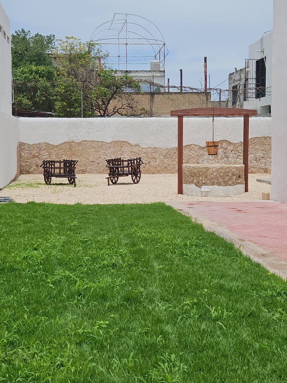 Miniatura 12
